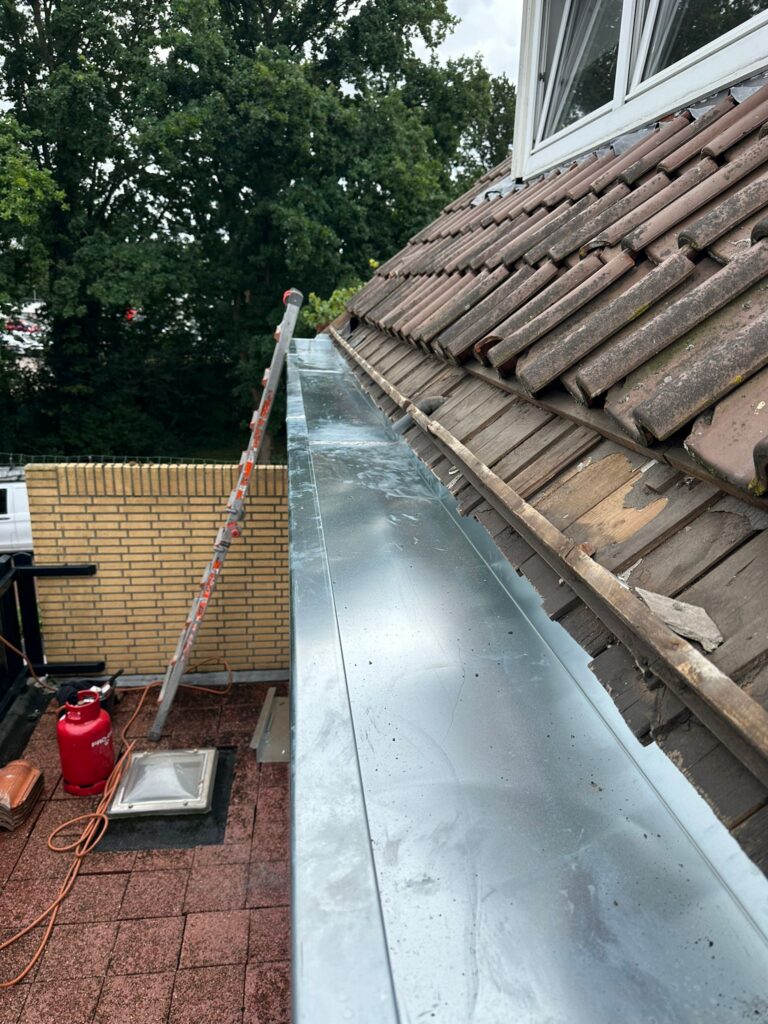 Zinken dakgoot naast pannendak en ladder