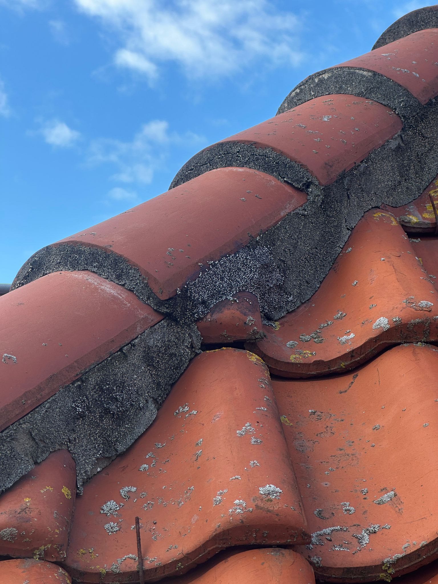 Nokvorst reparatie met Flexim in Purmerend (11)