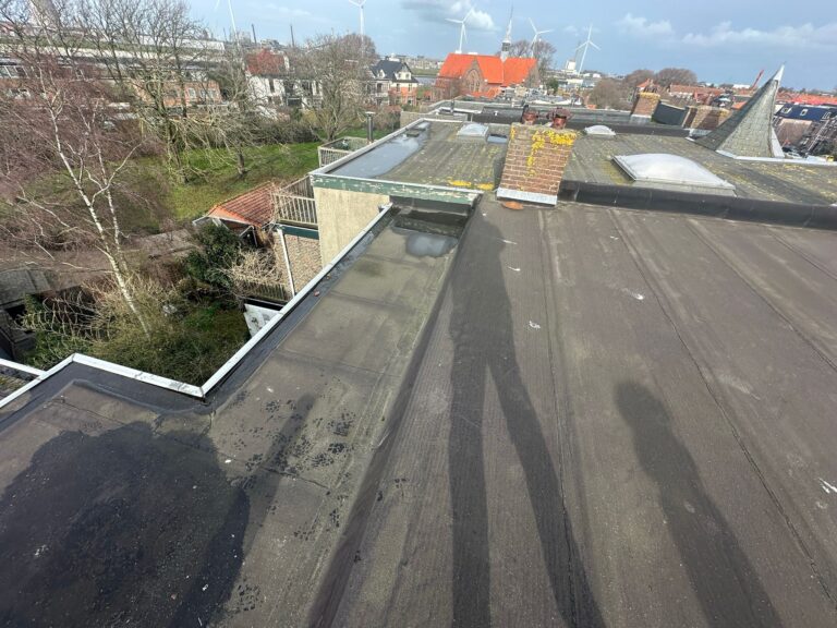 Uitzicht vanaf dak met windmolens en huizen.